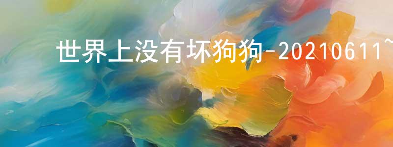 ﻿陈海鸥的网络影视资源,﻿世界上没有坏狗狗-20210611~20210618迅雷下载_电影天堂